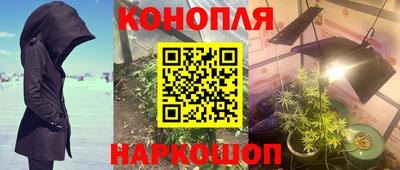 сатива Жуковский