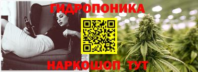 ПСИЛОЦИБИНОВЫЕ ГРИБЫ Заводоуковск