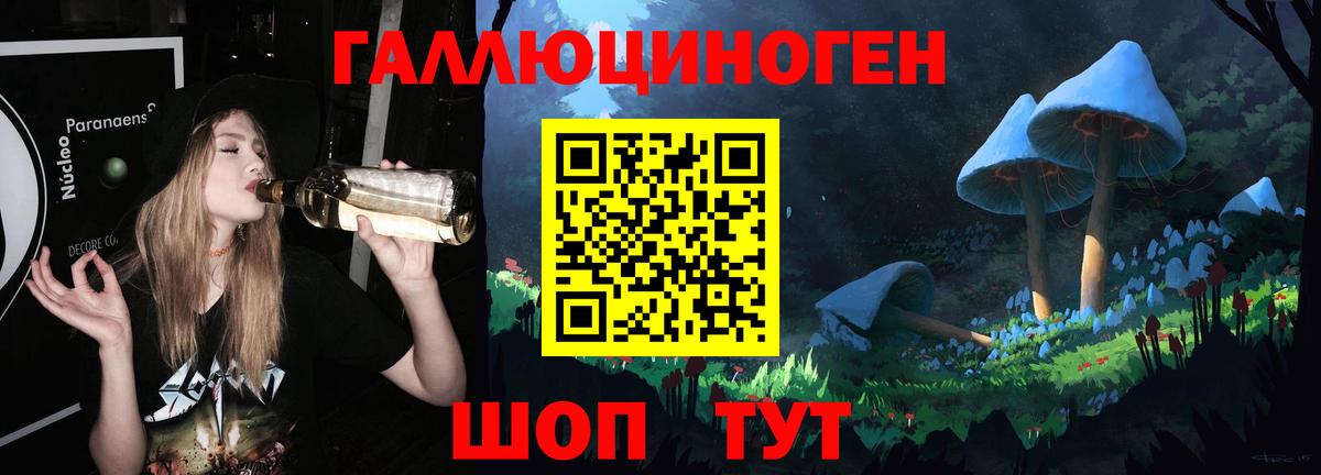 Кулебаки  Галлюциногенные грибы Cubensis  Вход с VPN 